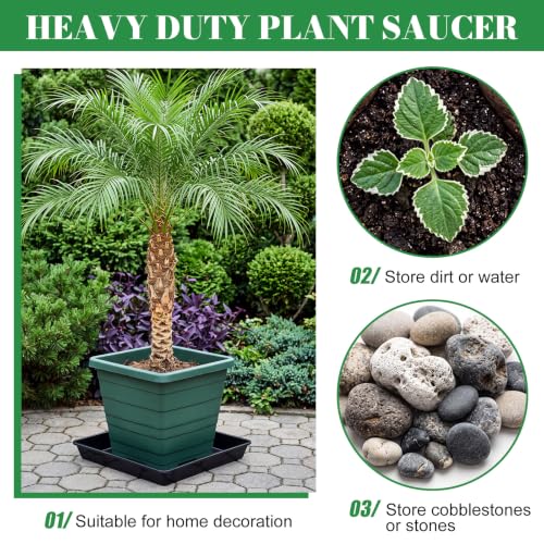 6 Pack Plastic Plant Saucer (Square / 16 Inch / Black)