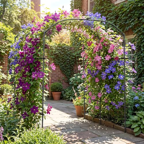 87''H x 75''L Garden Arch Trellis (75'' L x 71'' W x 87'' H/Black)