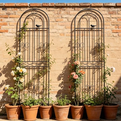 4 Pack 70.8" H x 19.7" W Metal Garden Trellis with Black Coating (70.8" H)