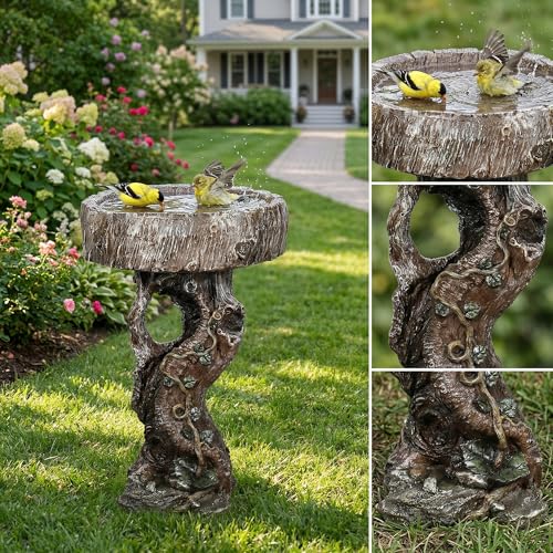 Bird Baths for Outdoor (24.4 inch H)