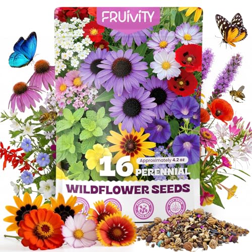200 000+ Wildflower Seeds Bulk