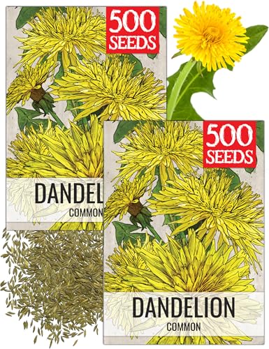 Dandelion Seeds to Plant Heirloom & Non (2 Packs)