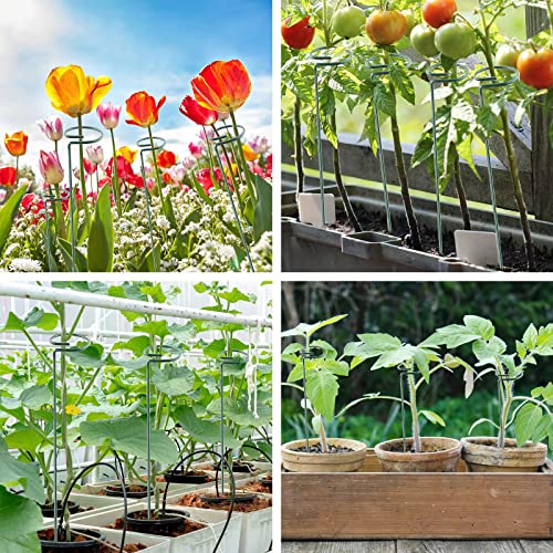 20 Pack 16 Inch Plant Support Stakes (20 Count)