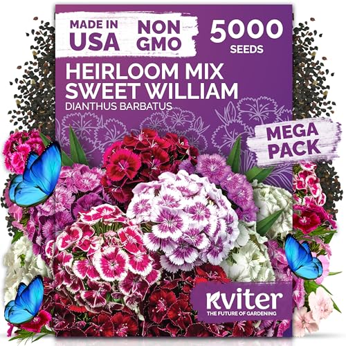 5 000 Mix Sweet William Heirloom Perennial Flower Seeds