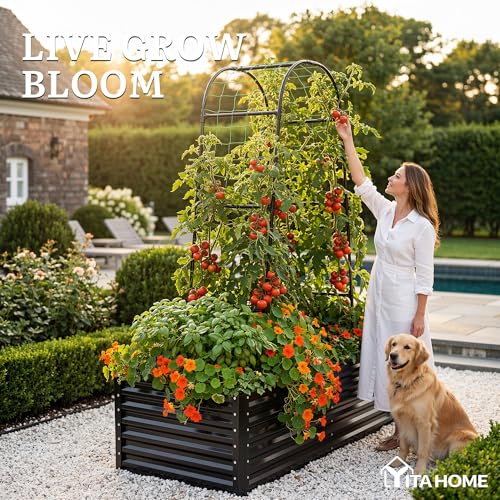 6x3x2ft Galvanized Raised Garden Bed with Tall Arch Trellis (Black / 6x3x2ft W/ Trellis)