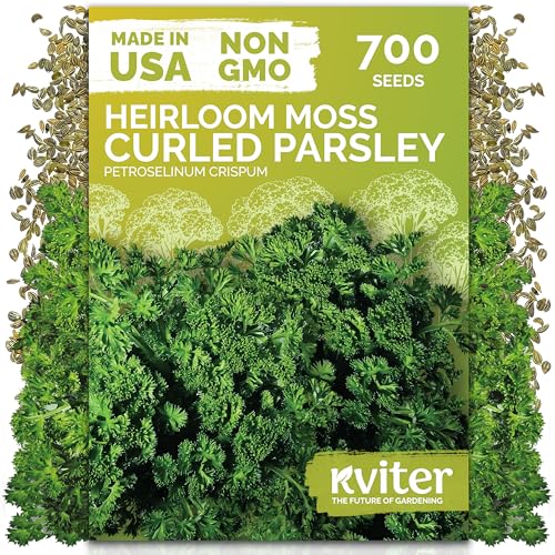 700 Moss Curled Parsley Heirloom Herb Seeds