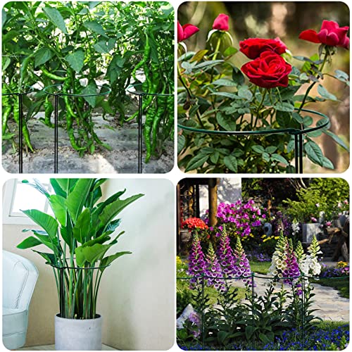 14" Dx32 H Plant Supports Stakes for Large Heavy Plants (14"Dx32"H-10PCS)