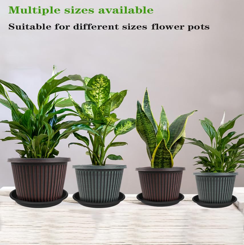 6 Pack Plant Saucer 8 inch