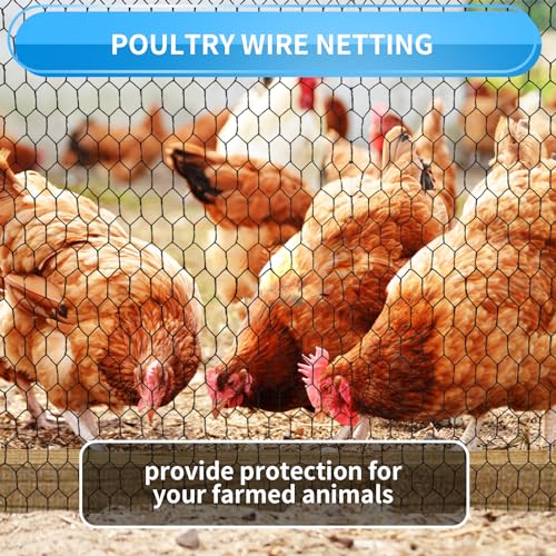 72'' x 150' Black Chicken Wire Fencing (19 gauge 72'' x 150')