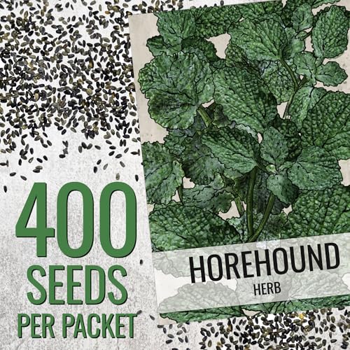 Herb Seeds to Plant Horehound (2 Packs)