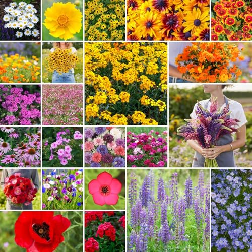 Northeast Wildflower Mixed Seeds for Planting (160 Ounce)