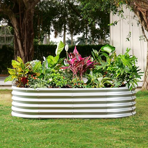 Galvanized Planter Raised Beds
