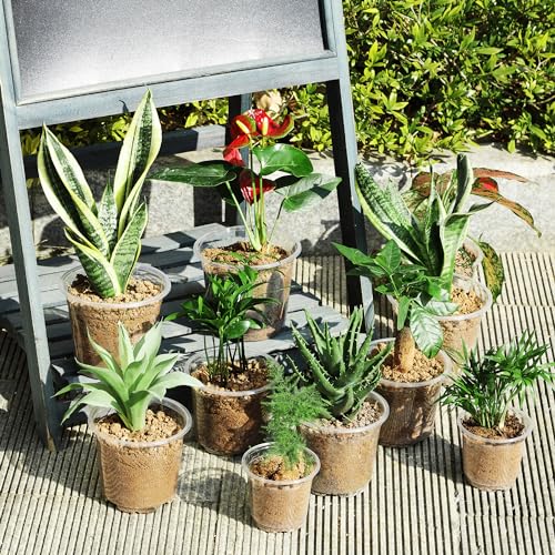 60 Pack 6/5/4Inch Clear Nursery Pots with Drainage Holes, Clear Plant Pot for Planting, Transparent Plastic Plant Pots,Durable Seed Starting Pot for Succulents (4/5/6Inch-60Pack)