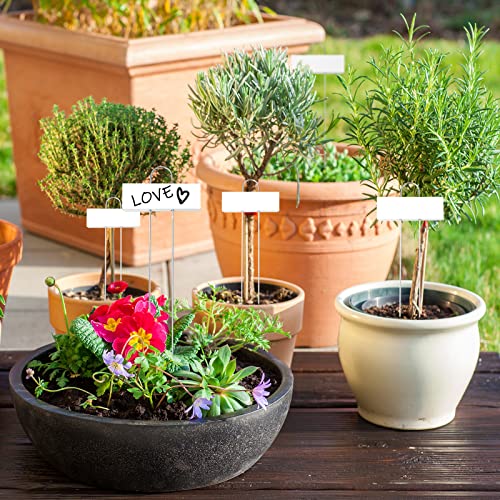 62 Pcs Metal Plant Labels Garden Markers Outdoor Weatherproof 10.6 Inch Stainless Steel Nursery Tags Reusable Bulk with Pens for Flower Fruit Vegetable Seedling (White Label With Black Ink)