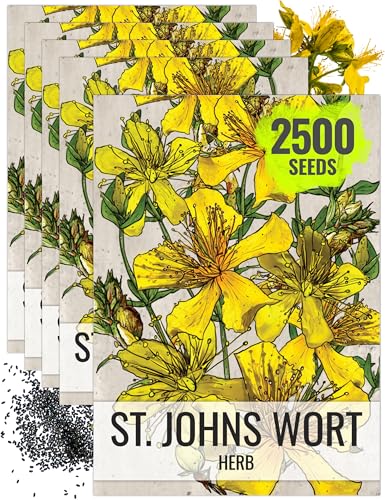 St. Johns Wort Seeds to Plant Heirloom Medicinal Herbs 5 Packs (5 Packs)