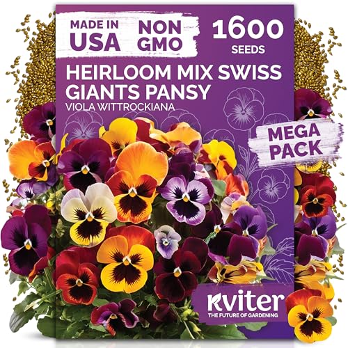 1 600 Swiss Giants Pansy Heirloom Flower Seeds