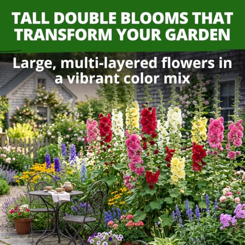 Summer Carnival Giant Hollyhock Seeds