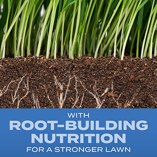 Turf Builder Grass Seed Sun & Shade Mix