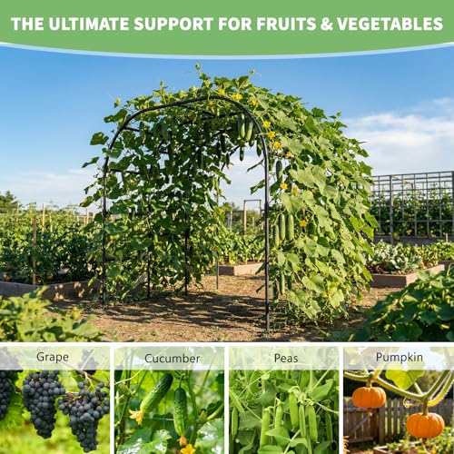 Garden Arch Trellis (88''H x 88''L x 88''W)