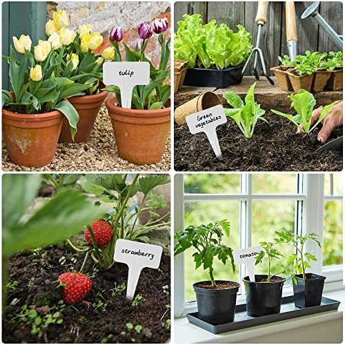 30 Pcs Waterproof Wihte Durable Plastic Plant Outdoor Garden Labels Nursery Markers T (4 inch / Whitex30pcs)