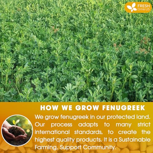 Premium 55 Bags Fenugreek Tea (55 Tea Bags)