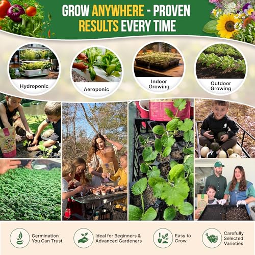 75 Medicinal & Tea Herb Seeds Variety Pack