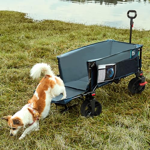 47" L Collapsible Wagon with Tailgate & Brake (Blue / 250L)