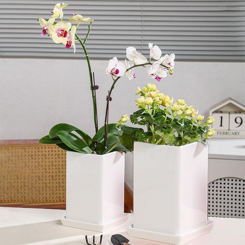 Square Ceramic Plant Saucer Tray 10 11 12 Inch White