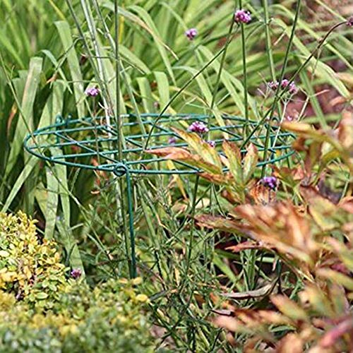 10 Pack 16 x 24 inch Green Peony Cages Grow Through Plant Support Stakes Flower Support Hoops Heavy Plants Brace Rings (Grid 10pack)