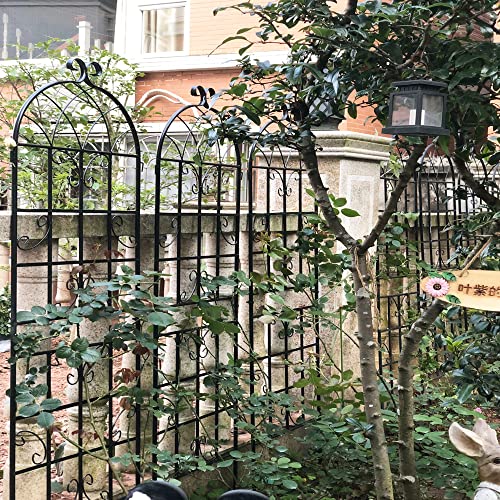 8 Pack Metal Garden Trellis for Climbing Plants (Black D-71"H)