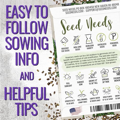 Rosemary Seeds to Plant Heirloom Non (5 Packs)