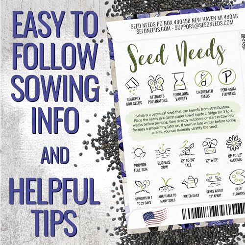 Sapphire Sage Seeds to Plant Blue Salvia Flowers 5 Packs (5 Count)