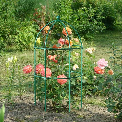 3 Pack Peony Cage (31.5"H x 15.7"W/3PC / Green)