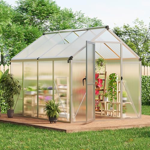 6 x 8 FT Greenhouse (Silver / 6x8FT)