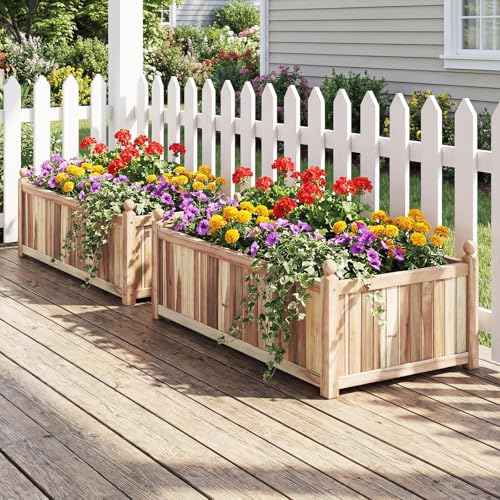 Acacia Wood Raised Garden Beds Set of 2 (Weathered Gray / 44”x23”x16”)