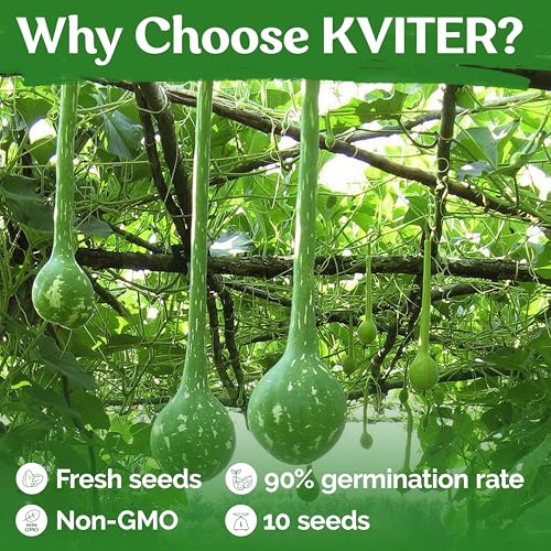 10 Dipper Gourd Seeds