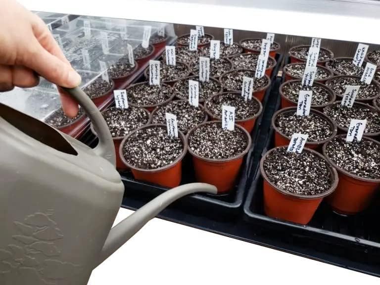 4 Inch Plastic Plant Labels for Seedlings (10000 Count)