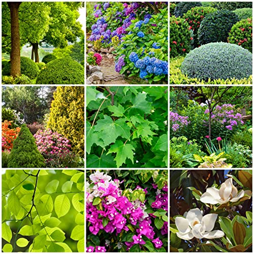 Tree & Shrub Fertilizer Spikes (12 Count)