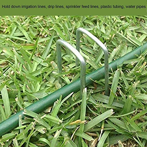 Landscape Staples 12 Inch Galvanized Anti (100 Count)