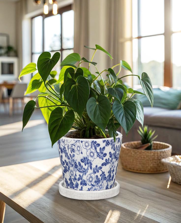 Ceramic Pot for Plants 5.5 inch Blue and White Pot for Plants Small Chinoiserie Planter Pots with Drainage Hole and Saucers Outdoor Inoor Blue Flower Pots for Succulent (Blue and White)