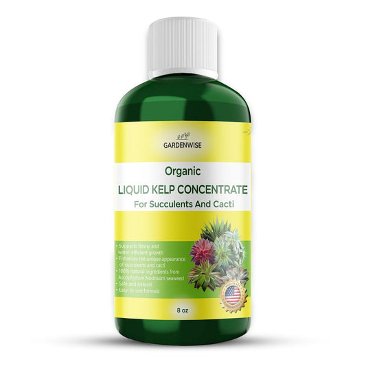 Organic Kelp Seaweed Fertilizer: Premium Succulent and Cactus Food - Indoor Plant Nutrition with Root Booster, Ideal for Christmas Cactus, Dragon Fruit, and Potted Plants (8 OZ)