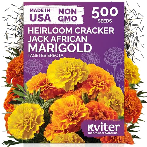 500 Cracker Jack Marigold Heirloom Flower Seeds