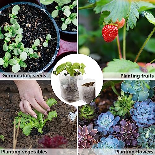 200Pcs Nursery Growing Bags (200 Count)