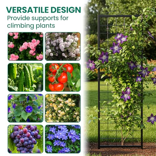 2 Pack Garden Trellis for Climbing Plants (71''H x 20''W/2 Pack / Black Square Grid)