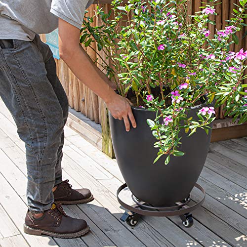 Metal Plant Caddy with Wheels Heavy Duty Iron Rolling Casters Plant Stand 2 Pack 12" Rollers Round Flower Pot Rack on Dolly Holder Indoor Outdoor Planter Trolley (12 inch x 2 pack)