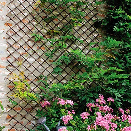 Natural Lattice Willow Trellis Fence for Climbing Plants (2640 sq inches)