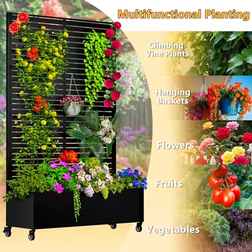 Metal Planter Box with Trellis (Louvered-Black1 / With Planter Box)