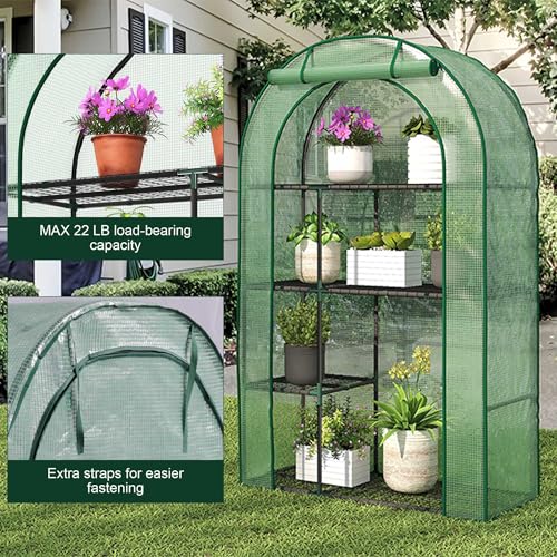 4 Tier Mini Greenhouse for Outdoors (Green / 63" x 40")