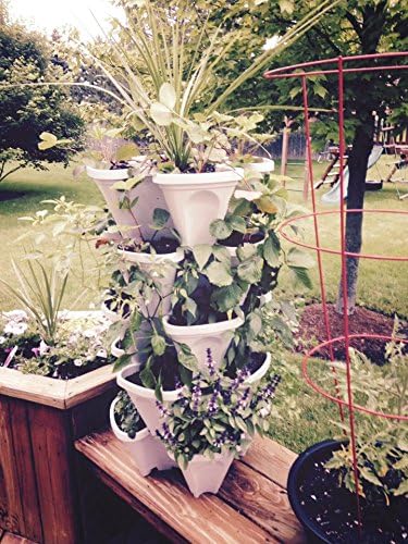 (12) LARGE Stackable Planters Planters - Use Mr Stacky Pots with any Grow Medium - Great For Soil Gardening, Hydroponics, and Aquaponics - Build Your Own Large Stacking Container Garden System - For Growing Strawberry, Vegetable, Herbs, Lettuce, Pepper...
