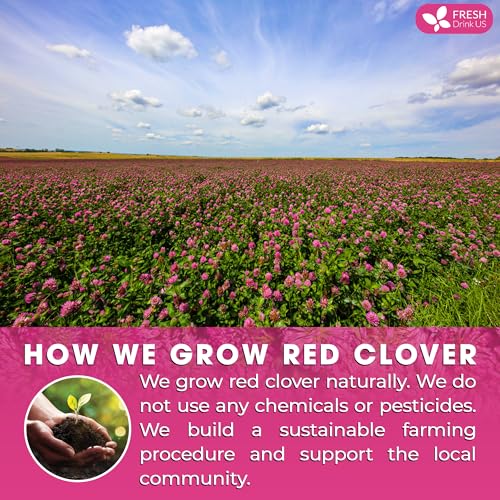 Premium Red Clover Herbal Tea (35 Tea Bags)